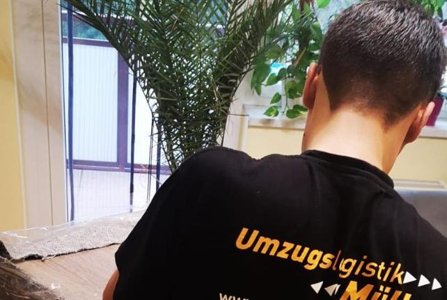 Preise für Ihren Studentenumzug in Schwepnitz
